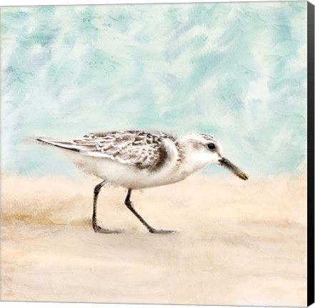 Framed Sandpiper Walk 1 Print