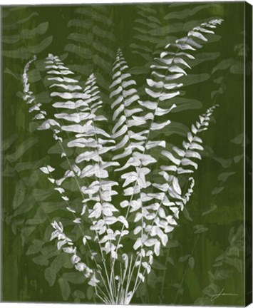 Framed Jewel Ferns I Print