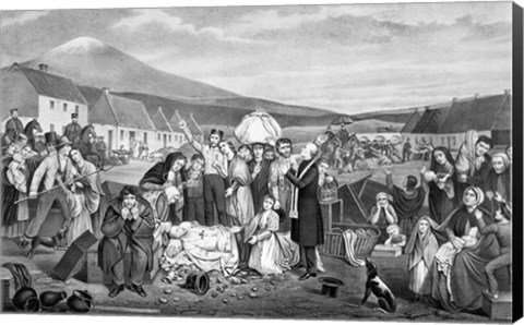 Framed Eviction: A Scene from Life in Ireland Print