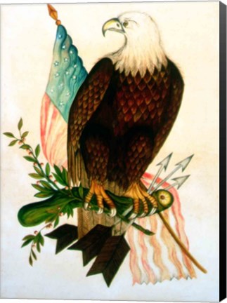 Framed Bald eagle with flag Print