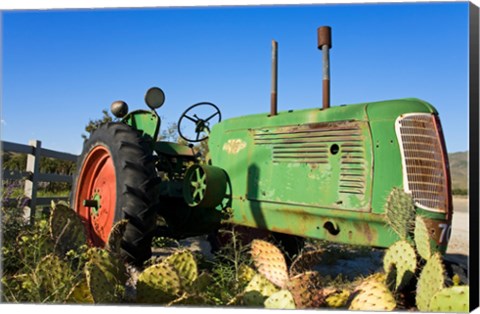 Framed Abandoned tractor in a field, Temecula, Wine Country, California, USA Print