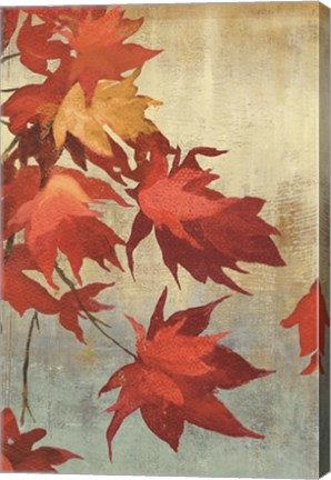 Framed Maple Leaves I Print