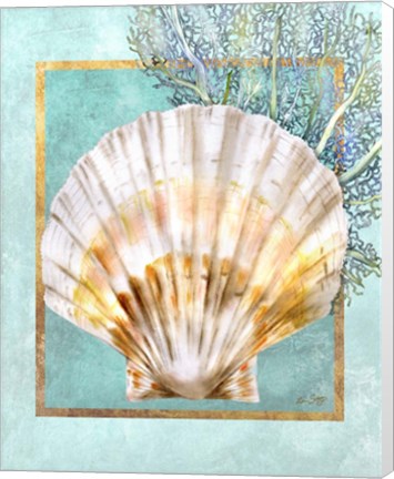 Framed Scallop Shell and Coral Print