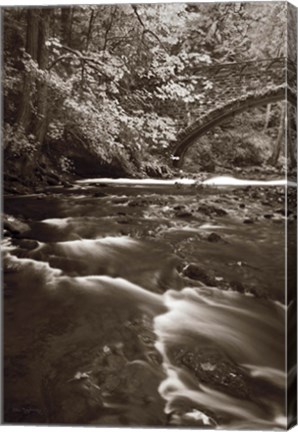 Framed Whatcom Creek Print