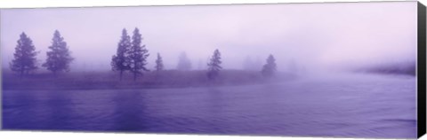 Framed USA, Wyoming, View of trees lining a misty river Print