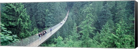 Framed Capilano Bridge, Suspended Walk, Vancouver, British Columbia, Canada Print