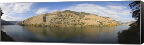 Framed Vineyards at the riverside, Cima Corgo, Duoro River, Douro Valley, Portugal Print