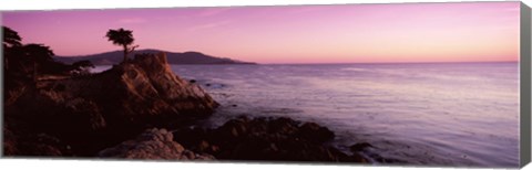 Framed Silhouette of a cypress tree at coast, The Lone Cypress, 17 mile Drive, Carmel, California, USA Print