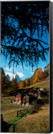 Framed Huts with the Mt Matterhorn in background in autumn morning light, Valais Canton, Switzerland Print