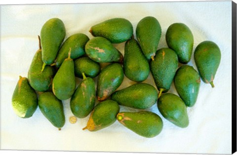 Framed Avocados in a bunch, Santa Paula, Ventura County, California, USA Print