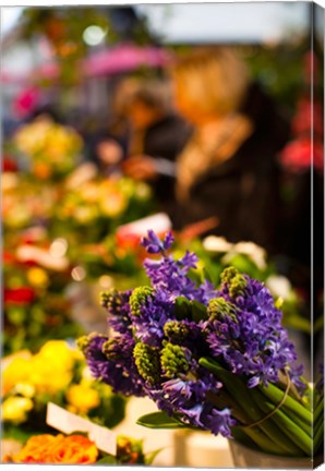 Framed Bunch of flowers at a flower shop, Rue De Buci, Paris, Ile-de-France, France Print