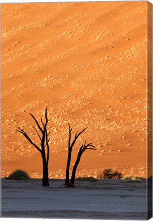 Framed Namibia, Namib-Naukluft, Sossusvlei Desert, Dead Vlei Print