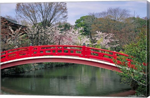 Framed Spring Season, Kyoto, Japan Print