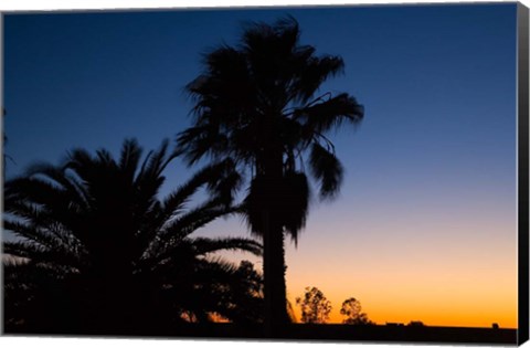 Framed Palm Trees, Sunset, Stuart Highway, Outback, Australia Print