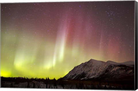 Framed Red Aurora Borealis over Carcross Desert, Canada Print