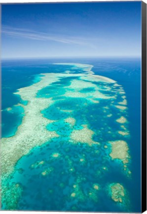 Framed Australia, Cairns, Great Barrier Reef, Elford Reef Print