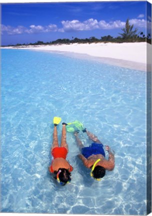 Framed Snorkeling in the blue waters of the Bahamas Print