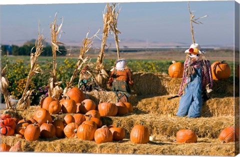 Framed Scarecrows, Fruitland, Idaho Print