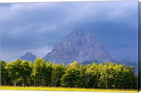 Framed Crowsnest Mountain at Crownest Pass in Alberta, Canada Print