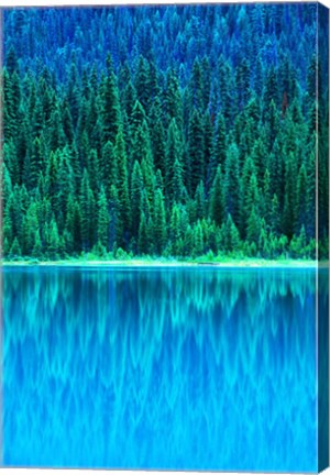 Framed Emerald Lake Boathouse, Yoho National Park, British Columbia, Canada (vertical) Print