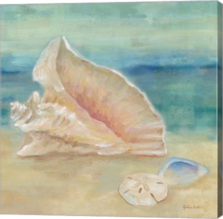 Framed Horizon Shells III Print