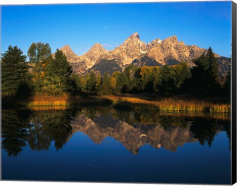 Framed Teton Range and Snake River, Grand Teton National Park, Wyoming Print