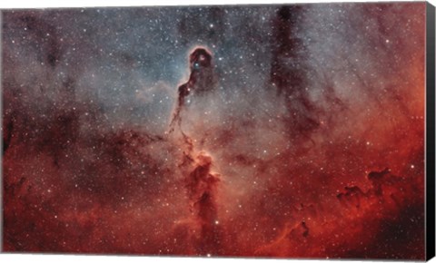 Framed Elephant Trunk Nebula I Print