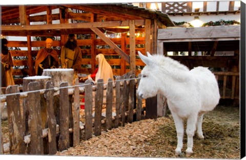 Framed Live Nativity Display Print