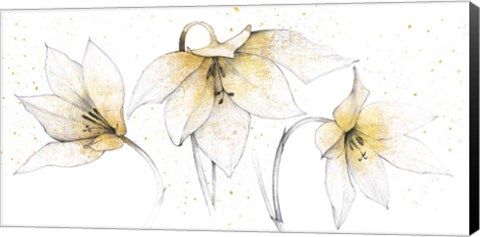 Framed Gilded Graphite Floral Trio Print