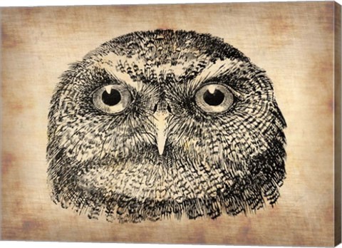 Framed Vintage Owl Face Print