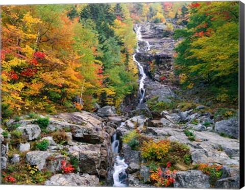 Framed White Mountains National Forest Print