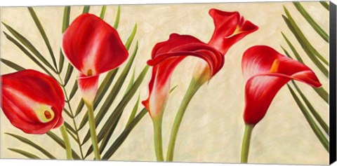 Framed Red Callas Print