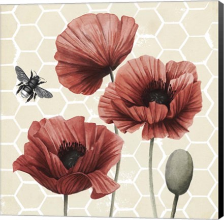 Framed Poppy Buzz I Print