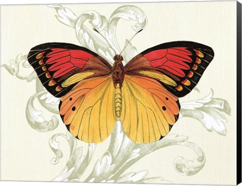 Framed Butterfly Theme III Print