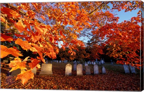 Framed Fall Morning in a Portsmouth Cemetary, New Hampshire Print