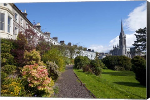 Framed St Coleman&#39;s Cathedral Beyond, County Cork, Ireland Print