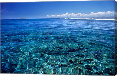 Framed Fiji Islands, Tavarua, coral reef Print