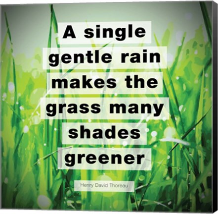 Framed Single Gentle Rain - Henry Thoreau Quote (Vibrant) Print