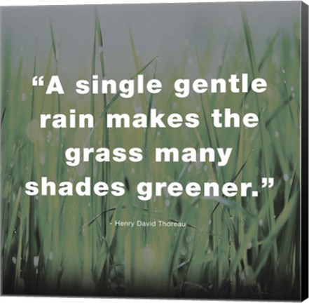 Framed Single Gentle Rain - Henry Thoreau Quote (Dark) Print