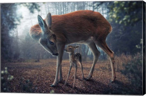 Framed Mother And Fawn Print