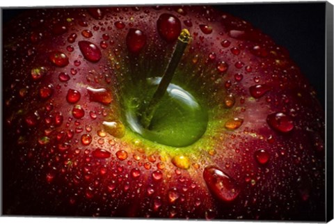 Framed Red Apple Print