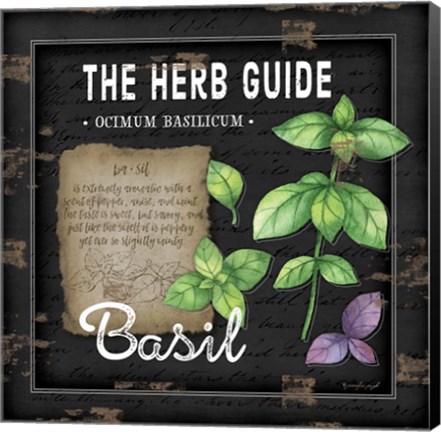 Framed Herb Guide Basil Print