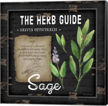 Framed Herb Guide Sage Print