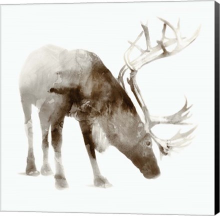 Framed Caribou Print