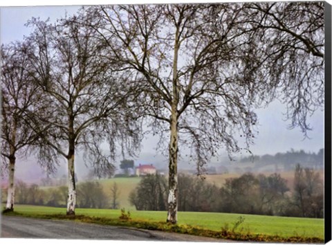 Framed Pastoral Countryside XI Print