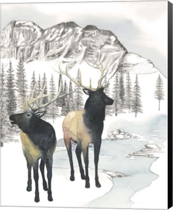 Framed Winter Elk II Print