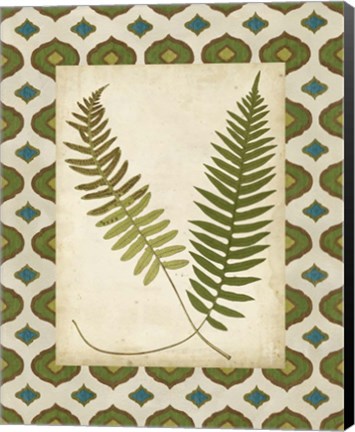 Framed Moroccan Ferns III Print