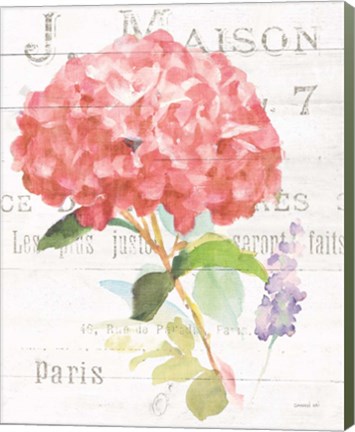 Framed Maison des Fleurs VI Print