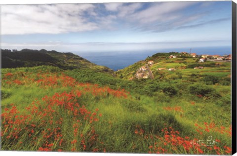 Framed Flowers of Madeira Print