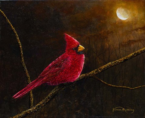 Framed Cardinal In The Moonlight Print